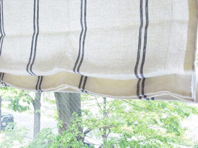 プラチナ通り新緑の季節