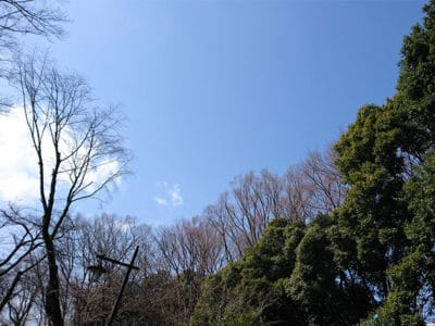 春分の日